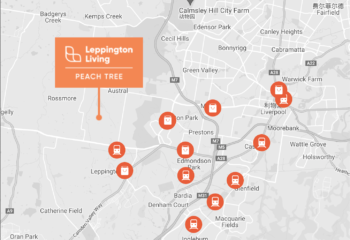 Austral - Peach Tree