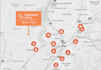 Austral - Peach Tree